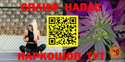 тгк Краснодар