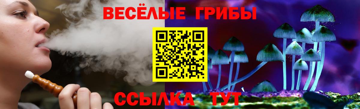 Железногорск  Галлюциногенные грибы Psilocybine cubensis  Вход с VPN 